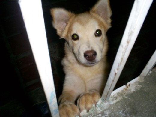 Dana saludandonos por la ventana